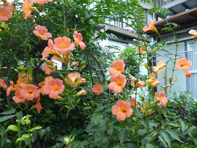 f0305995_0364152.jpg