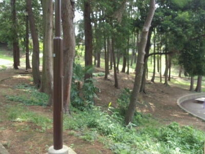 f0185804_1258018.jpg
