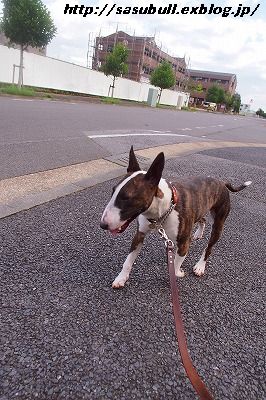 e0145805_19201338.jpg