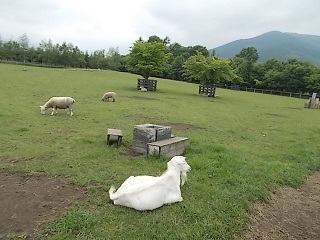 f0316507_10020494.jpg