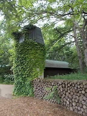 f0316507_10030193.jpg