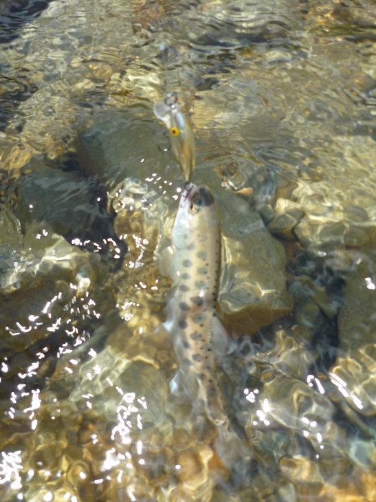c0232813_17094543.jpg