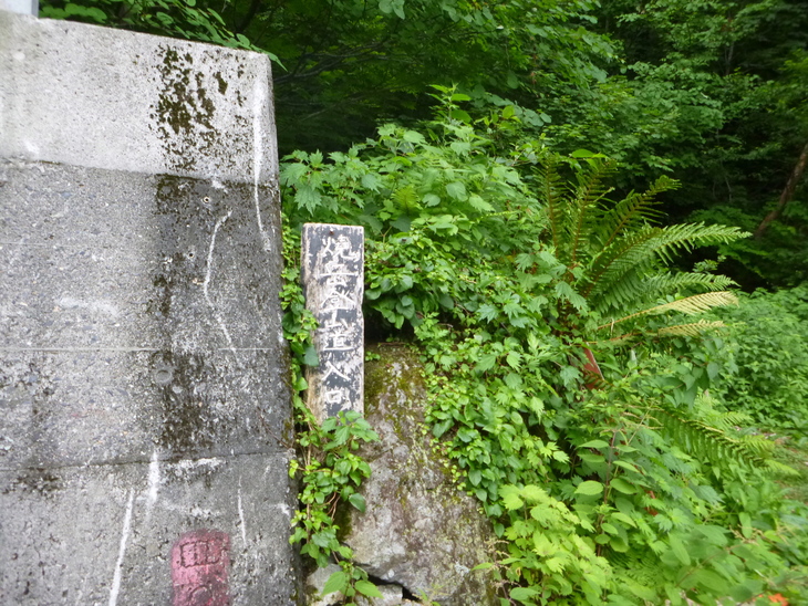 d0170615_19334652.jpg