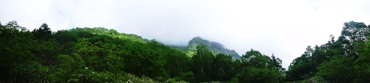 d0170615_1934131.jpg