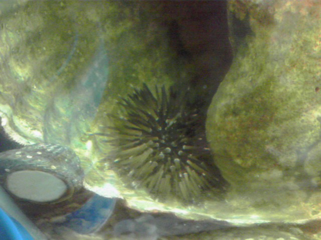 a0291521_15134669.jpg