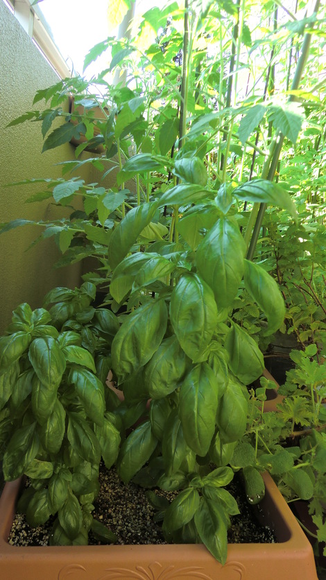 c0236632_865890.jpg