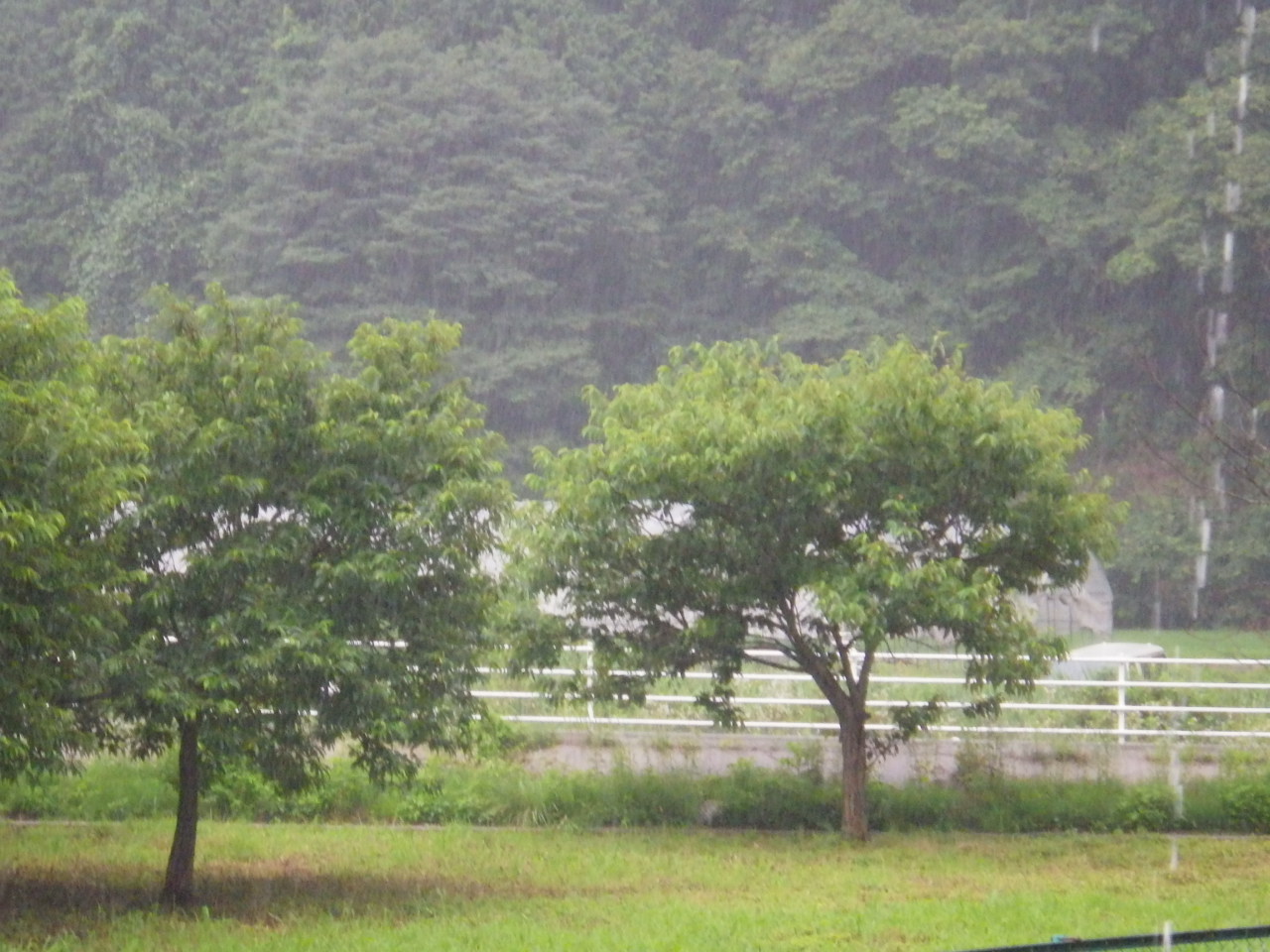 c0300035_1354120.jpg