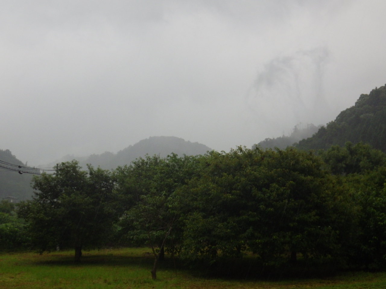 c0300035_135797.jpg
