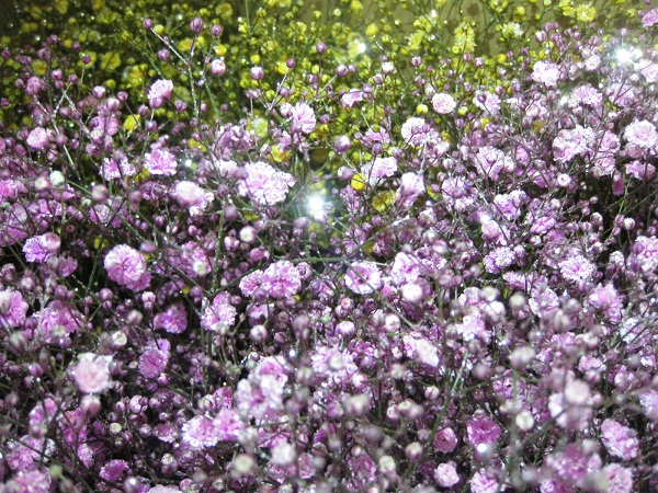 f0329538_18113802.jpg