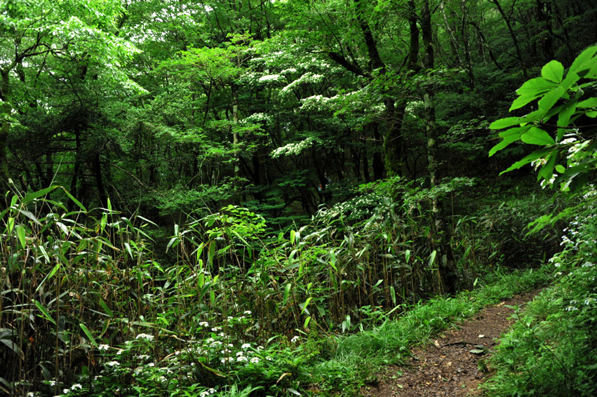 b0075541_14165640.jpg
