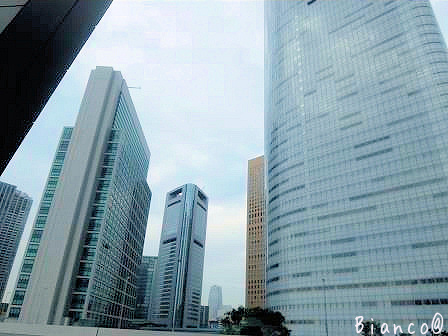 d0118050_19040185.jpg