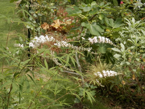 e0288951_1626079.jpg