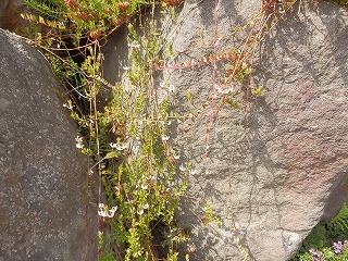 e0004756_20351370.jpg