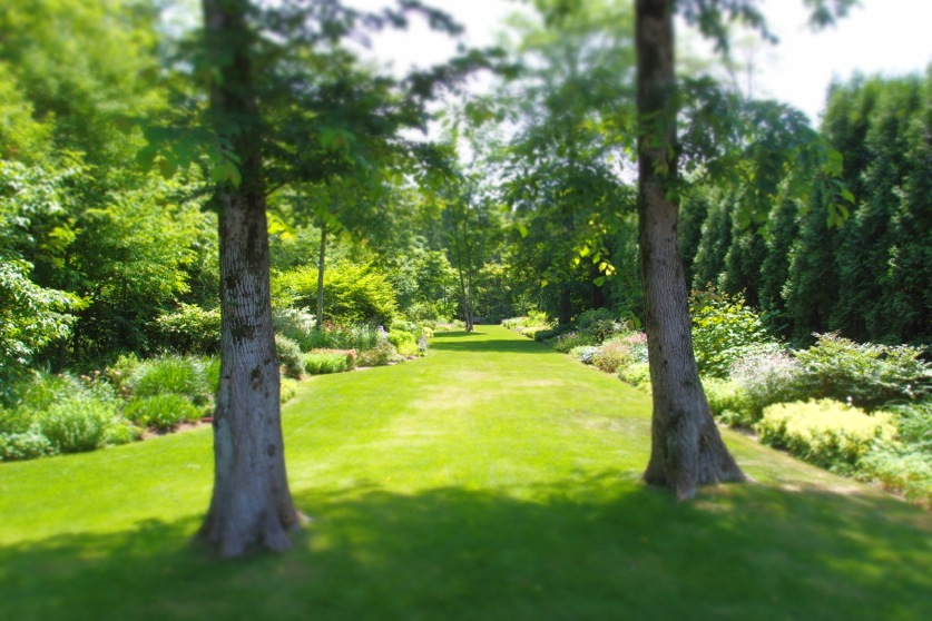 b0168859_17151567.jpg