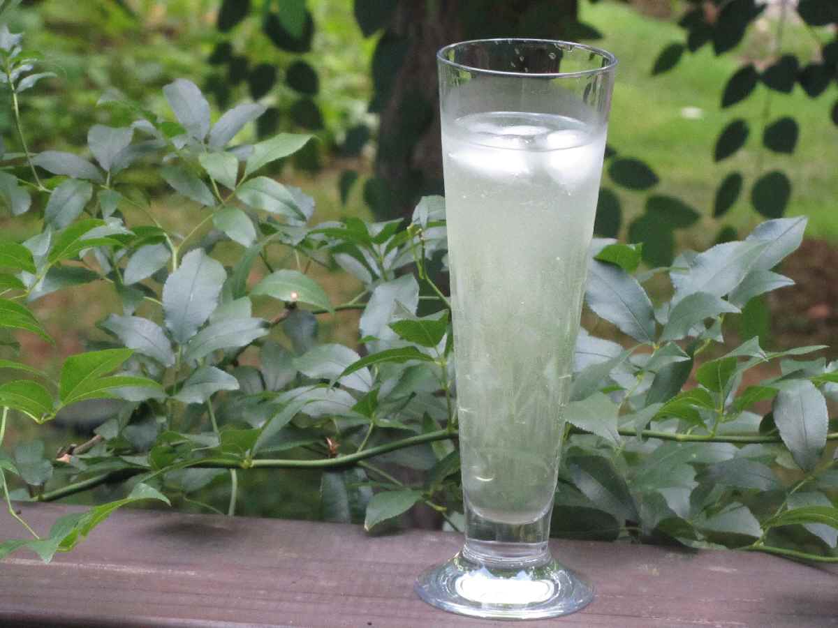 a0166264_23284784.jpg