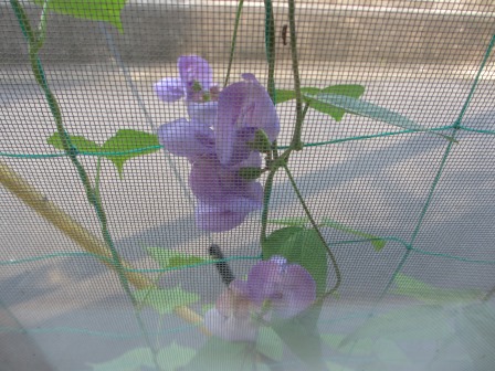 a0243064_07033136.jpg