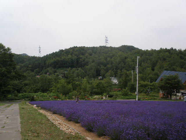 d0150967_04271.jpg