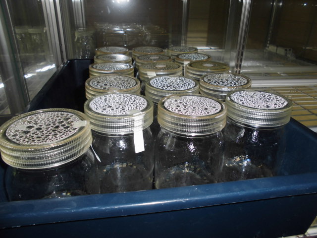 f0318967_16104733.jpg