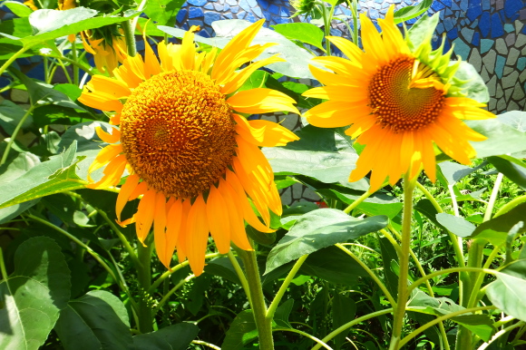 c0260772_15050202.jpg