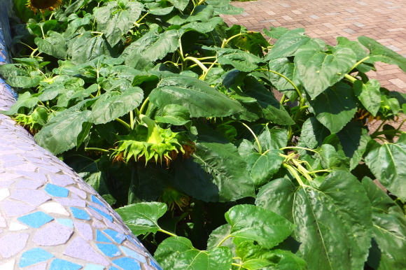 c0260772_15050354.jpg