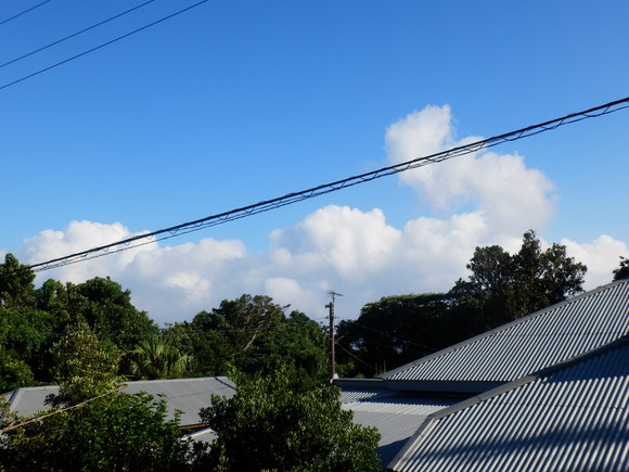 e0292172_2047293.jpg