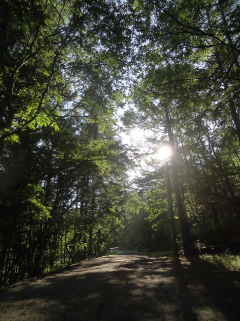 d0147774_16553429.jpg