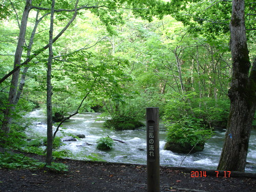 d0165378_1491590.jpg