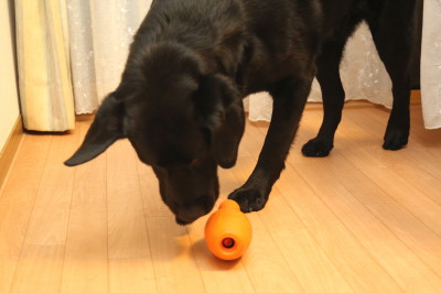 f0037378_15325331.jpg