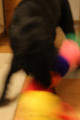 f0037378_2291556.jpg