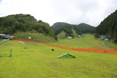 f0037378_742373.jpg