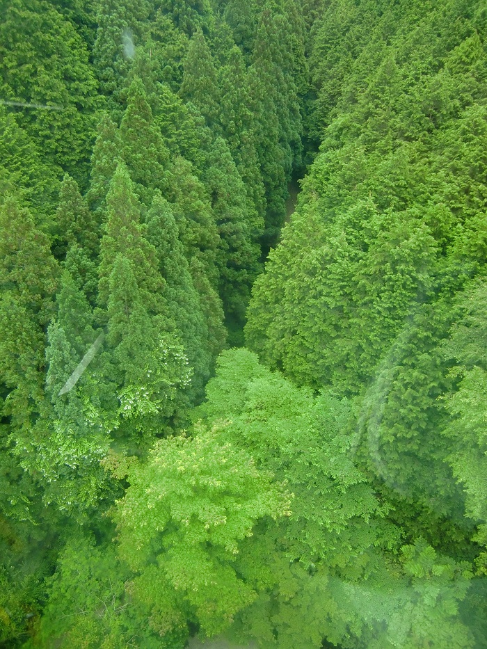 f0238779_82729.jpg