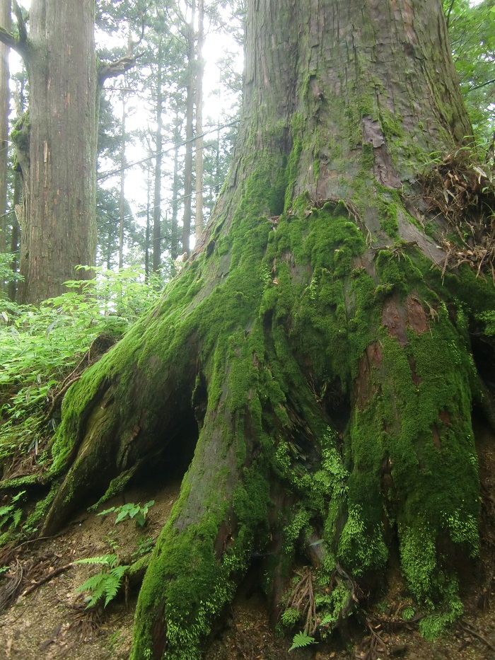 f0238779_83525.jpg