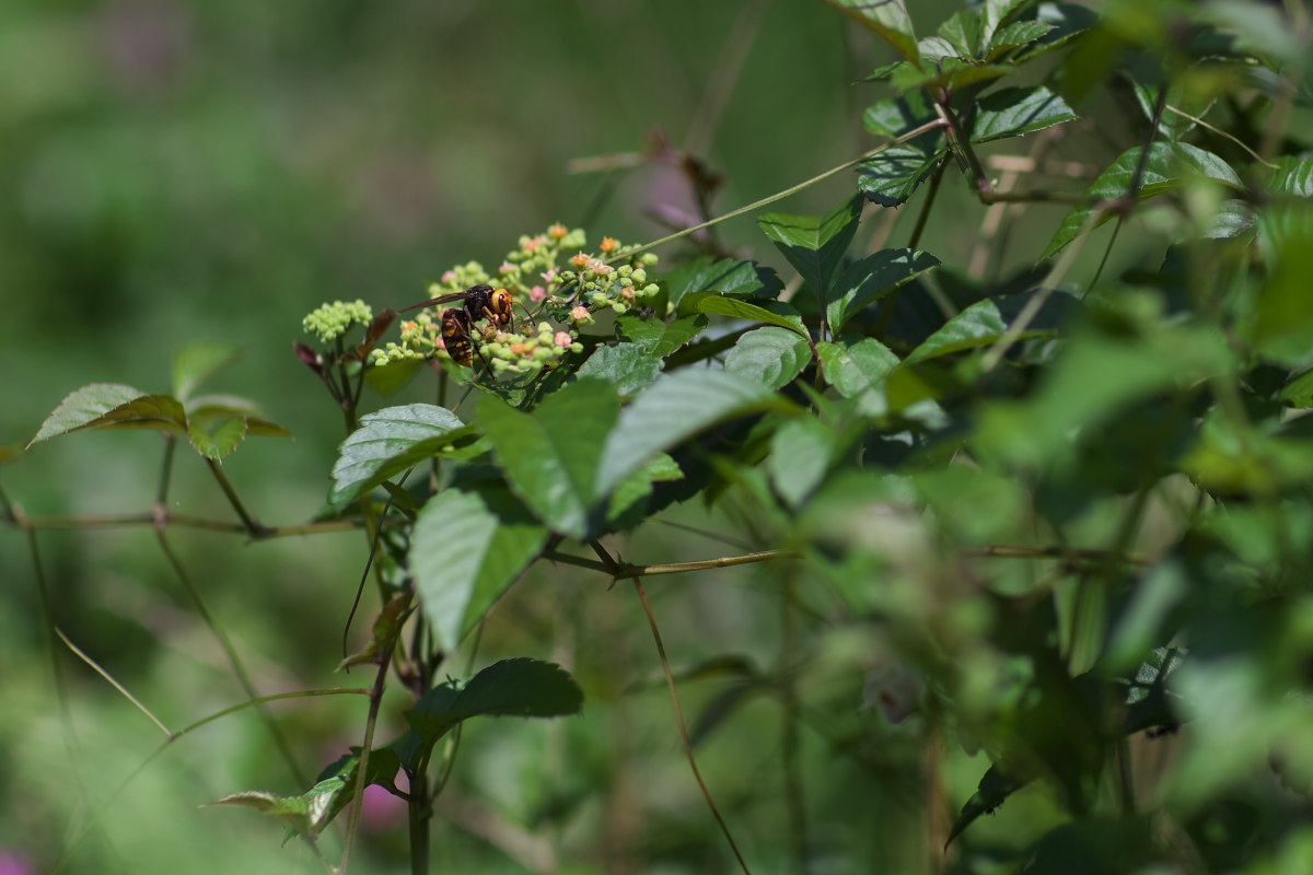 a0083081_72911.jpg