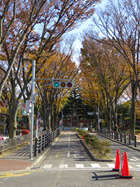 f0322193_14385061.jpg