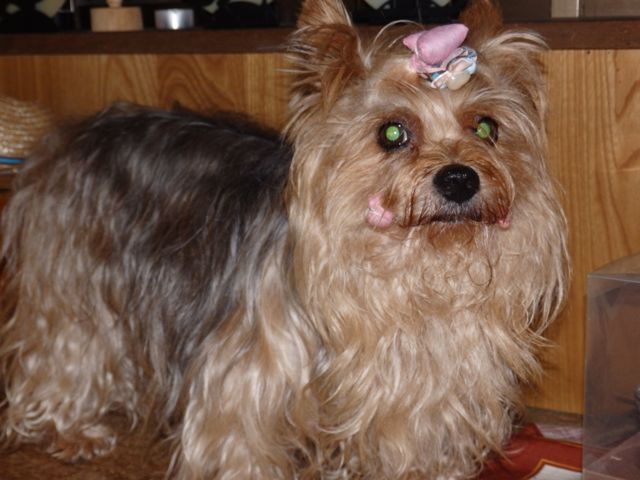 f0130894_22591551.jpg
