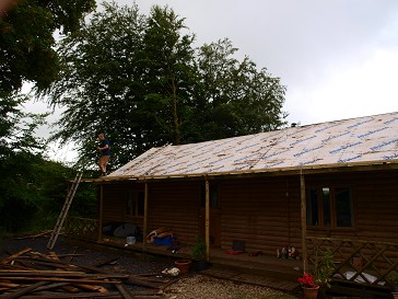 b0110999_17374357.jpg