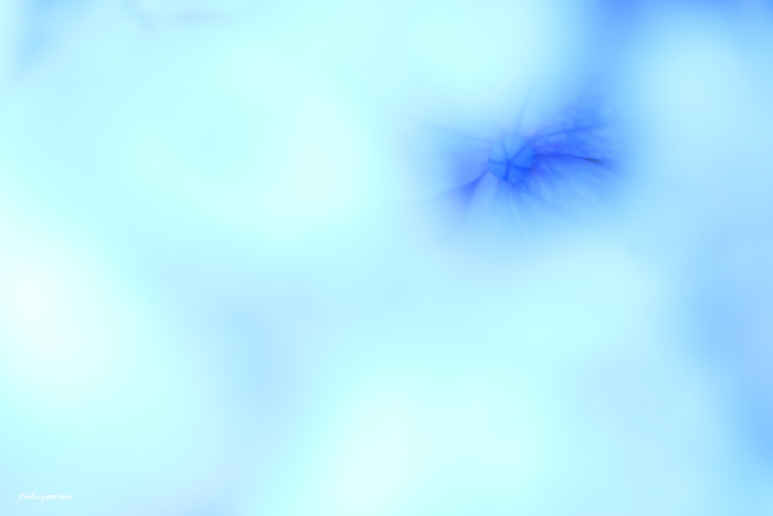 f0185802_21181036.jpg