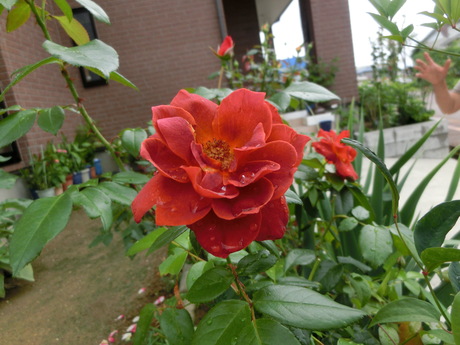 a0203003_13291323.jpg