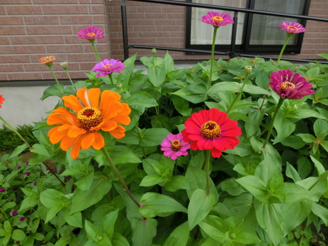 a0203003_13292685.jpg