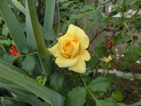 a0203003_1329310.jpg