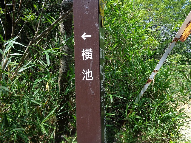 b0326303_09085579.jpg