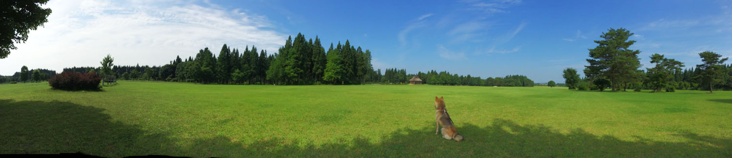e0162117_1832125.jpg