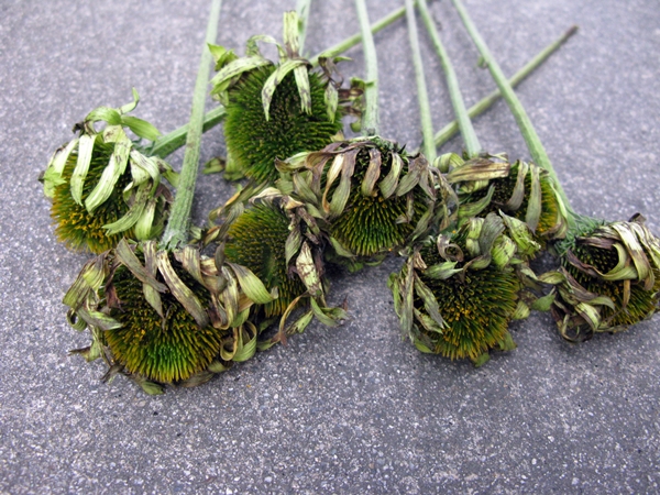 f0129726_23531766.jpg