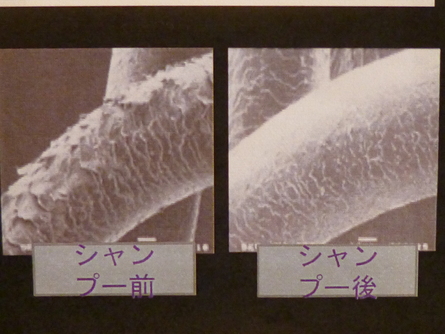 e0001531_6505279.jpg