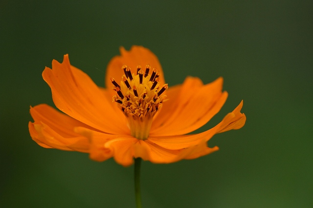 a0242438_18152678.jpg