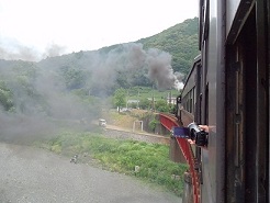 f0205860_8222751.jpg