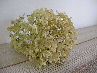 e0204865_12173610.jpg