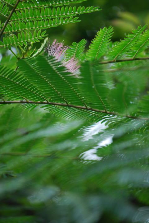b0189573_1073884.jpg