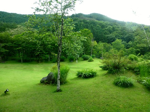 a0157174_1830090.jpg