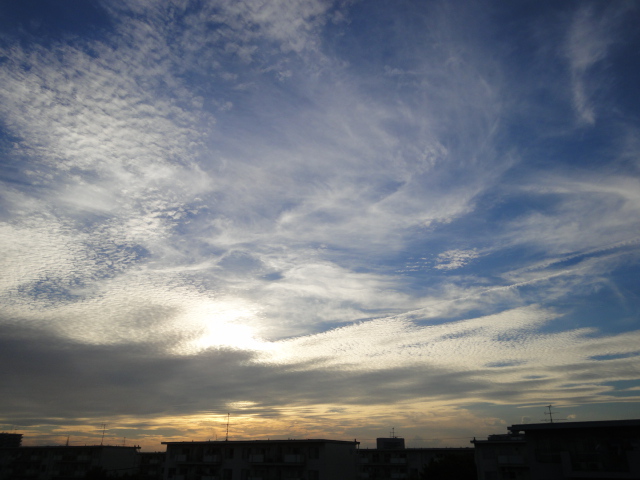 d0147774_19371843.jpg